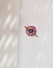 Charger l'image dans la galerie, FLORE