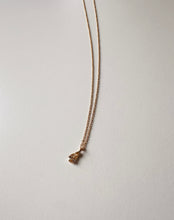 Charger l'image dans la galerie, CHAMPAGNE
